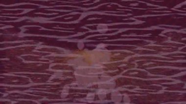 Profesyonel video projeleri sanat tarzı için organik hareketli arkaplan tasarımı