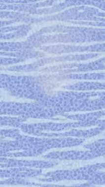 Benzersiz hareket dokusu tasarım sanatı ile profesyonel video düzenleme için modern soyut grafikler