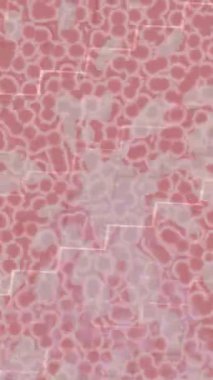 Benzersiz dijital hareket grafiklerine sahip yaratıcı sinematik projeler için yumuşak animasyon yüzeyi