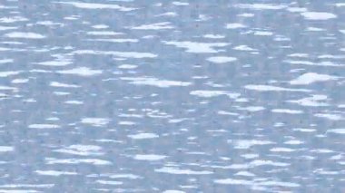 Benzersiz dijital animasyon tarzı grafikleri olan yaratıcı ortam tasarımı için yenilikçi hareket dokusu