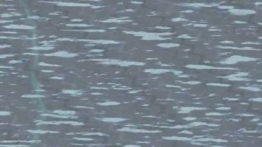 Lüks hareket projeleri için soyut tasarım stili animasyonu olan üst düzey dijital doku