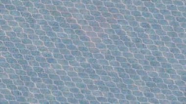 Profesyonel video projeleri sanat tarzı için organik hareketli arkaplan tasarımı