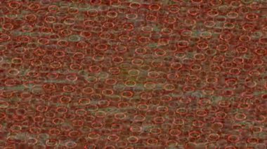 Profesyonel video projeleri sanat tarzı için organik hareketli arkaplan tasarımı