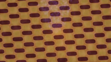 Lüks hareket tasarımı üst düzey video projeleri ve dijital sanat için zarif, pürüzsüz bir dokusu var.