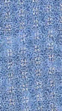 Benzersiz hareket dokusu tasarım sanatı ile profesyonel video düzenleme için modern soyut grafikler