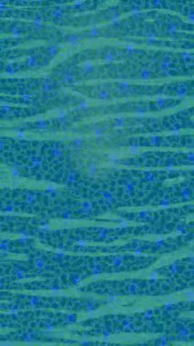 Benzersiz video giriş tasarımı projeleri için detaylı yüzey kalıbı film animasyon stili grafik girişi