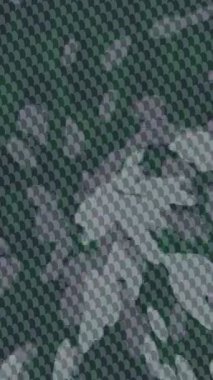 Organik desenli yüzey giriş stili video film sanatı ile soyut arkaplan tasarımı