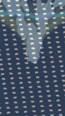 Benzersiz dijital hareket grafiklerine sahip yaratıcı sinematik projeler için yumuşak animasyon yüzeyi