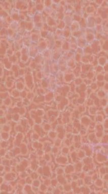 Soyut hareket desenli fütüristik video üretimi için dinamik dijital arkaplan