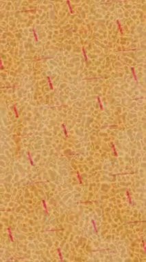 Yaratıcı video düzenleme film arkaplan tasarımı için minimalist organik hareket grafikleri