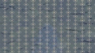 Profesyonel video projeleri sanat tarzı için organik hareketli arkaplan tasarımı