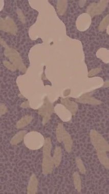 Benzersiz video giriş tasarımı projeleri için detaylı yüzey kalıbı film animasyon stili grafik girişi