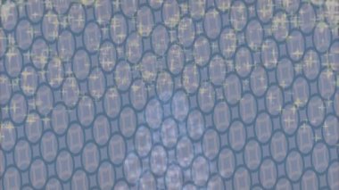 Benzersiz dijital hareket grafiklerine sahip yaratıcı sinematik projeler için yumuşak animasyon yüzeyi