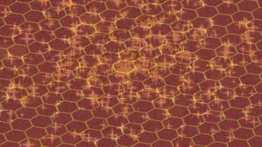 Organik desenli yüzey giriş stili video film sanatı ile soyut arkaplan tasarımı