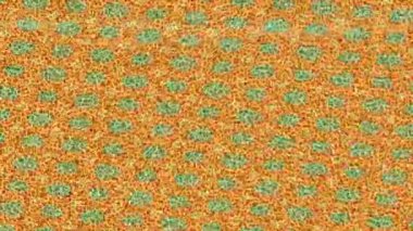 Estetik doku arkaplan tasarımı renkli hareket grafikleri ile moda film giriş profosyoneli