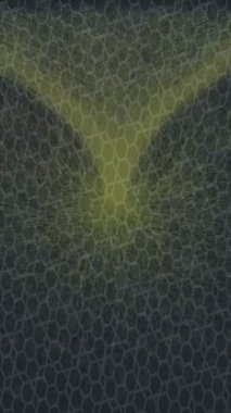 Yaratıcı video düzenleme film arkaplan tasarımı için minimalist organik hareket grafikleri