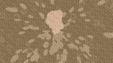 Dijital doku yüzey tasarım biçimi ile modern video animasyonu için gelişmiş hareket grafikleri