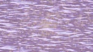 Estetik doku arkaplan tasarımı renkli hareket grafikleri ile moda film giriş profosyoneli