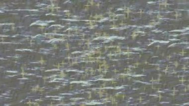 Soyut hareket desenli fütüristik video üretimi için dinamik dijital arkaplan