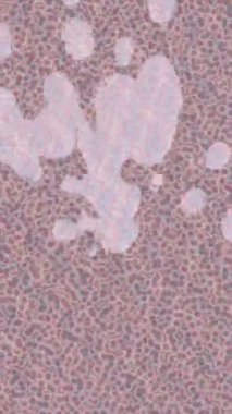 Benzersiz video giriş tasarımı projeleri için detaylı yüzey kalıbı film animasyon stili grafik girişi