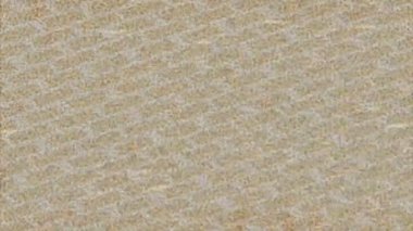 Benzersiz dijital hareket grafiklerine sahip yaratıcı sinematik projeler için yumuşak animasyon yüzeyi