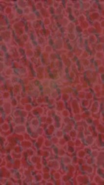 Dijital doku yüzey tasarım biçimi ile modern video animasyonu için gelişmiş hareket grafikleri