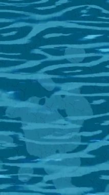 Yaratıcı video düzenleme film arkaplan tasarımı için minimalist organik hareket grafikleri