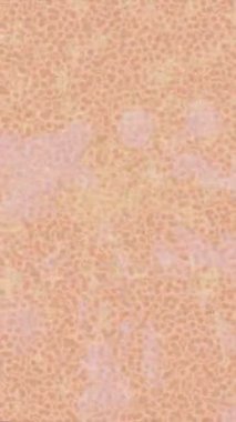 Modern medya üretimi için fütüristik dijital soyut doku sinematik tarz hareketli grafik ögesi