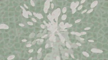 Yaratıcı video düzenleme film arkaplan tasarımı için minimalist organik hareket grafikleri