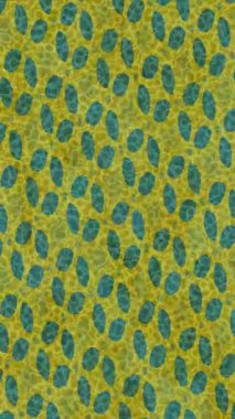 Organik desenli yüzey giriş stili video film sanatı ile soyut arkaplan tasarımı