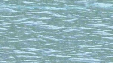 Profesyonel video projeleri sanat tarzı için organik hareketli arkaplan tasarımı