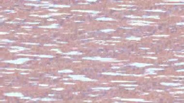 Estetik doku arkaplan tasarımı renkli hareket grafikleri ile moda film giriş profosyoneli