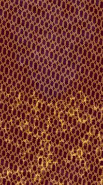 Dijital doku yüzey tasarım biçimi ile modern video animasyonu için gelişmiş hareket grafikleri