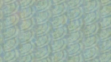 Benzersiz video giriş tasarımı projeleri için detaylı yüzey kalıbı film animasyon stili grafik girişi