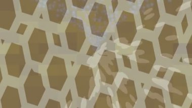 Benzersiz dijital hareket grafiklerine sahip yaratıcı sinematik projeler için yumuşak animasyon yüzeyi