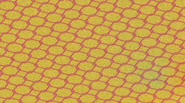 Profesyonel video projeleri sanat tarzı için organik hareketli arkaplan tasarımı