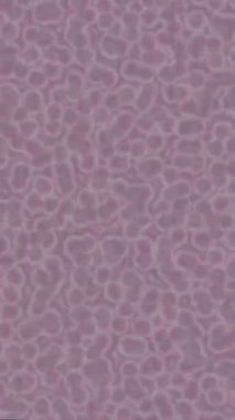 Benzersiz dijital animasyon tarzı grafikleri olan yaratıcı ortam tasarımı için yenilikçi hareket dokusu