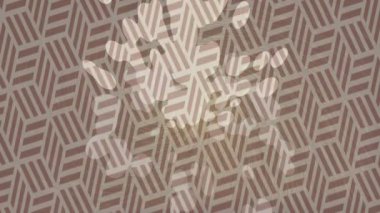 Yaratıcı video düzenleme film arkaplan tasarımı için minimalist organik hareket grafikleri