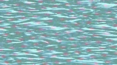 Benzersiz video giriş tasarımı projeleri için detaylı yüzey kalıbı film animasyon stili grafik girişi