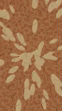 Lüks hareket tasarımı üst düzey video projeleri ve dijital sanat için zarif, pürüzsüz bir dokusu var.