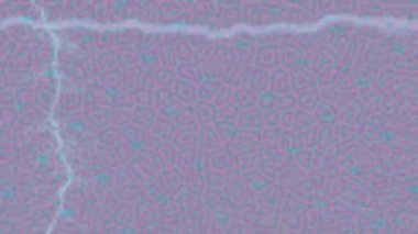 Profesyonel video projeleri sanat tarzı için organik hareketli arkaplan tasarımı