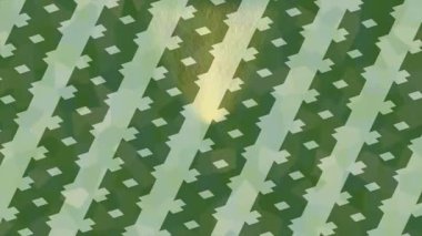 Benzersiz dijital hareket grafiklerine sahip yaratıcı sinematik projeler için yumuşak animasyon yüzeyi