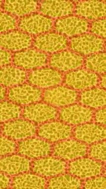 Lüks hareket tasarımı üst düzey video projeleri ve dijital sanat için zarif, pürüzsüz bir dokusu var.