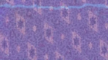 Benzersiz dijital animasyon tarzı grafikleri olan yaratıcı ortam tasarımı için yenilikçi hareket dokusu