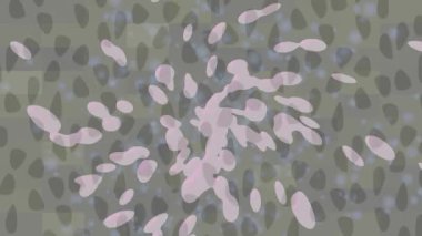 Yaratıcı video düzenleme film arkaplan tasarımı için minimalist organik hareket grafikleri