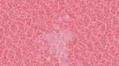 Lüks hareket tasarımı üst düzey video projeleri ve dijital sanat için zarif, pürüzsüz bir dokusu var.