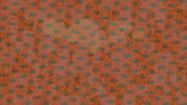 Dijital doku yüzey tasarım biçimi ile modern video animasyonu için gelişmiş hareket grafikleri