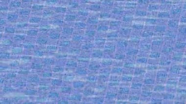 Lüks hareket tasarımı üst düzey video projeleri ve dijital sanat için zarif, pürüzsüz bir dokusu var.