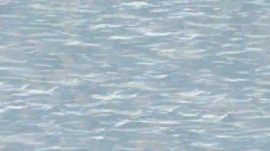 Benzersiz dijital hareket grafiklerine sahip yaratıcı sinematik projeler için yumuşak animasyon yüzeyi