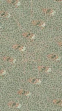 Lüks hareket tasarımı üst düzey video projeleri ve dijital sanat için zarif, pürüzsüz bir dokusu var.